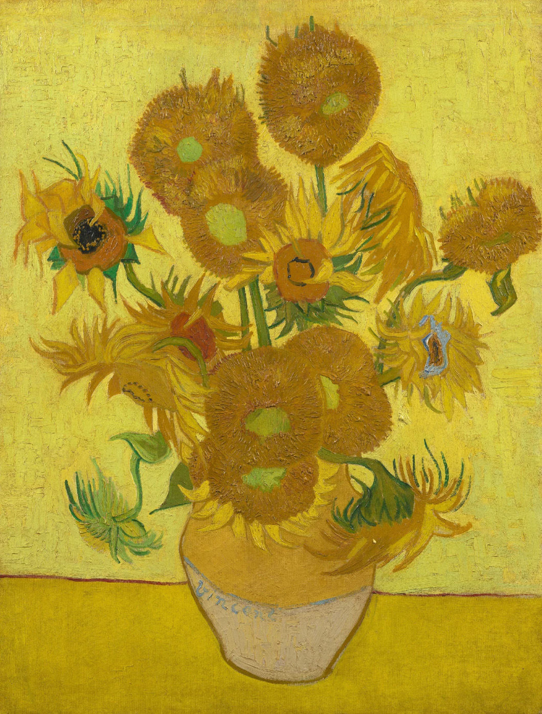 yellow sunflowers